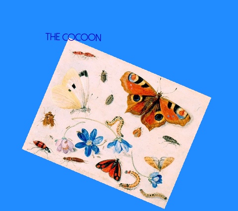 Car Decal 27"W x 24"H - Click to view this design