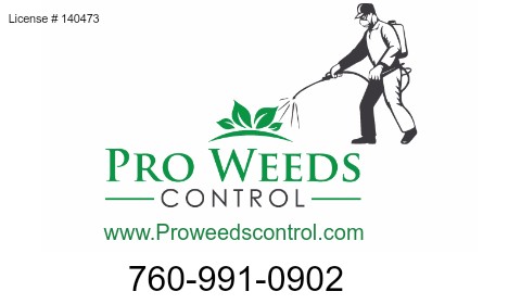 Car Magnet 24"W x 14"H - Click to view this design