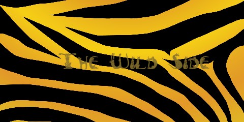 Car Decal 48"W x 24"H - Click to view this design