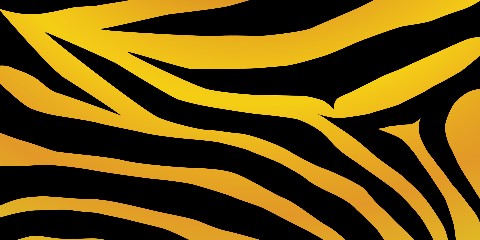 Car Decal 48"W x 24"H - Click to view this design