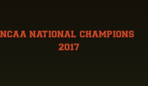 Car Magnet 24"W x 14"H - Click to view this design