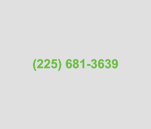 Car Decal 14"W  x 12"H - Click to view this design