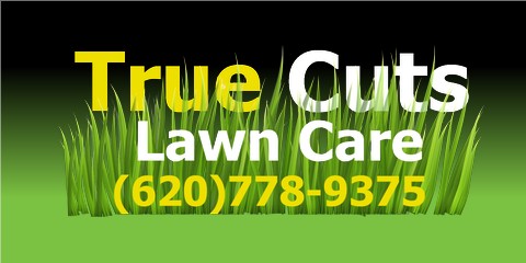 Car Decal 48"W x 24"H - Click to view this design