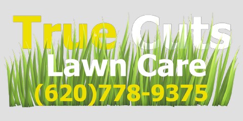 Car Decal 48"W x 24"H - Click to view this design