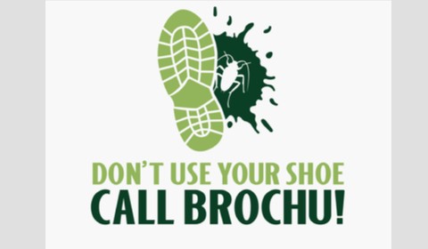 Car Magnet 24"W x 14"H - Click to view this design