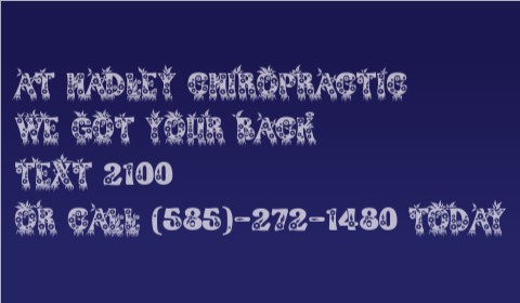 Car Magnet 24"W x 14"H - Click to view this design