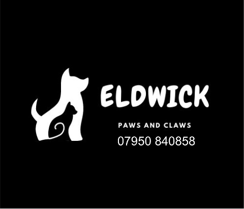 Car Magnet 14"W x 12"H - Click to view this design