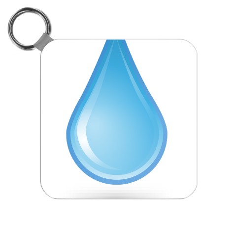 Key Chain - Click to view this design