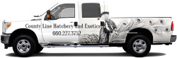 Truck Wrap