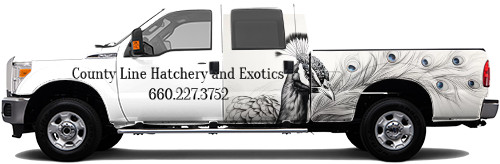 Truck Wrap #59640