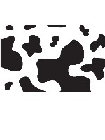 Car Magnet 14"W x 12"H