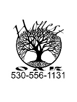 Car Decal 14W  x 12H