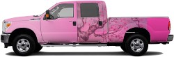 Truck Wrap