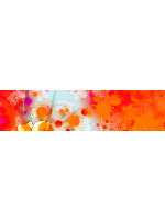Car Decal 48"W x 12"H