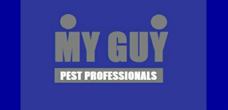 Car Decal 48"W x 24"H - Click to view this design