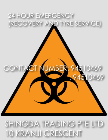 Car Decal 14"W x 18"H - Click to view this design