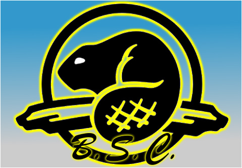 Car Decal 26"W x 18"H - Click to view this design